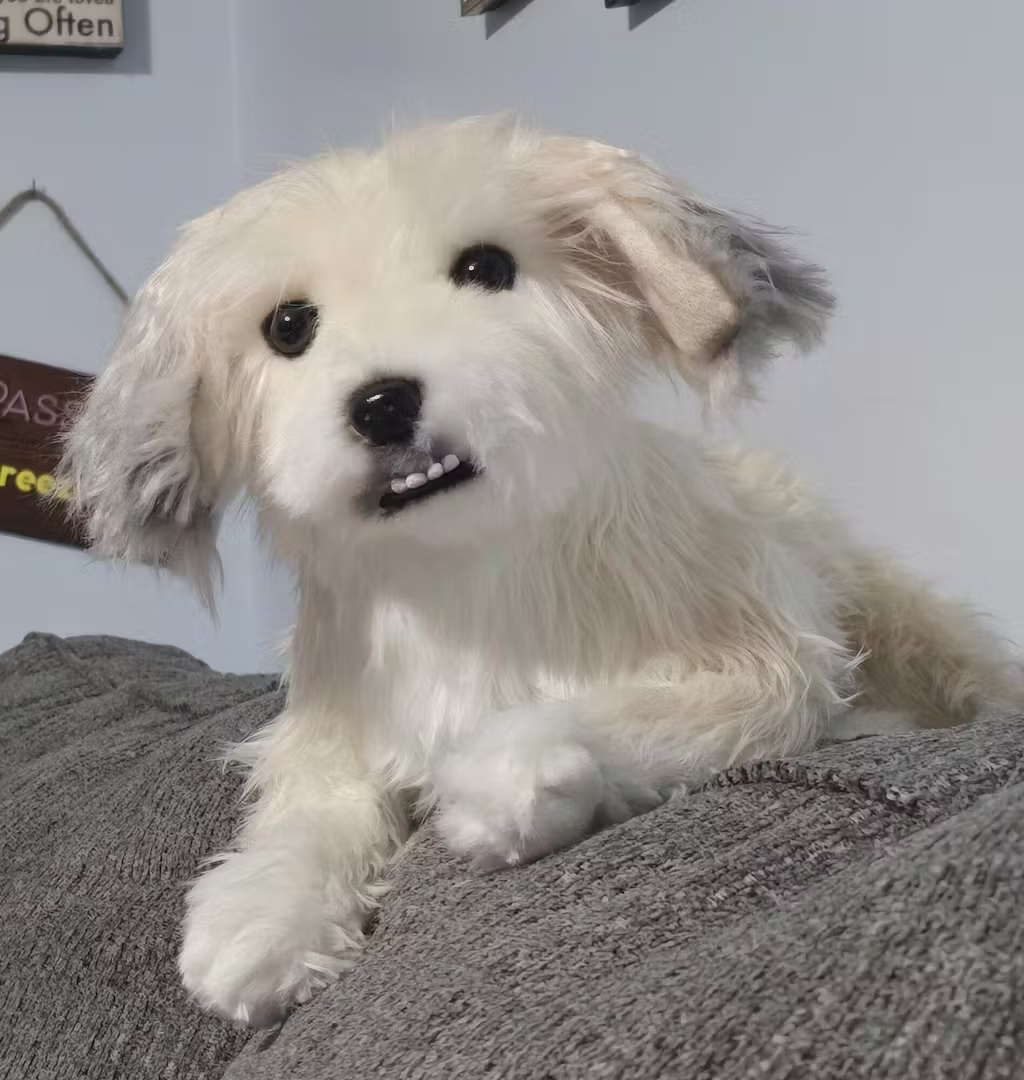 Charlie